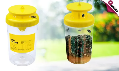 Non-Toxic Fly Trap!
